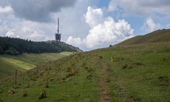 Chemin de Chasseral