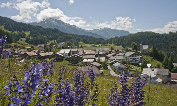 Giro nel villaggio di montagna di Feldis