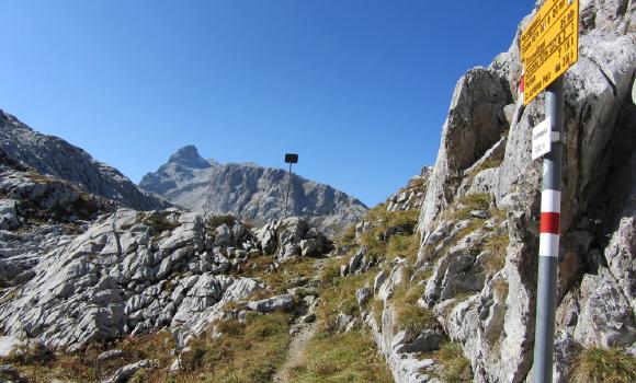 Itinerario circolare delle Alpi alla scoperta della natura