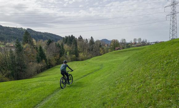 Appenzell–Rheintal Bike