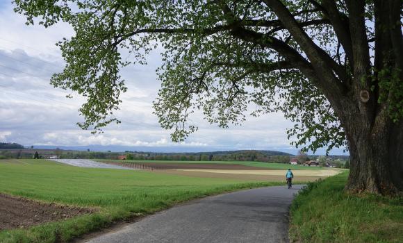 Alpes vaudoises–Pays de Fribourg, Tappa 4/4
