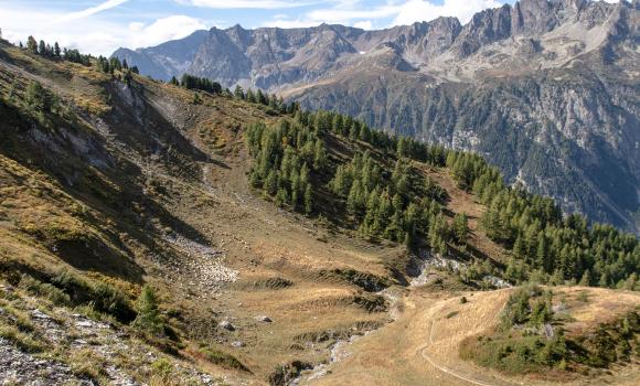 Sentiero dei passi alpini