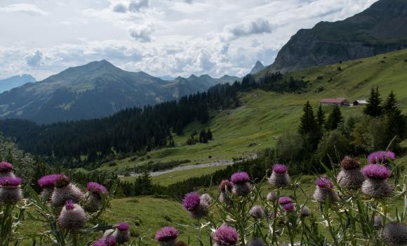 Prättigauer Höhenweg