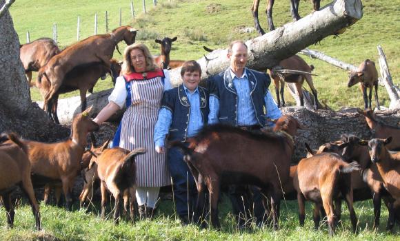 In visita alla fattoria delle capre