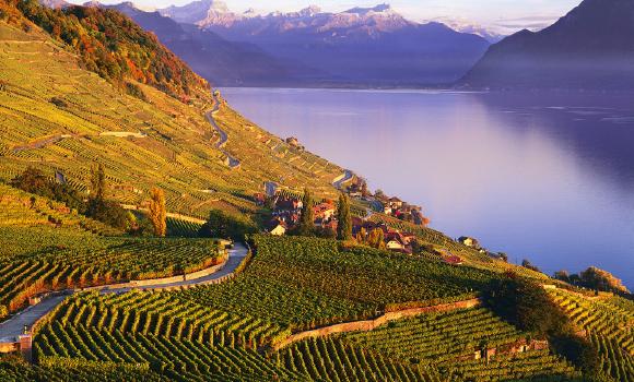 Passeggiate attraverso i vigneti terrazzati