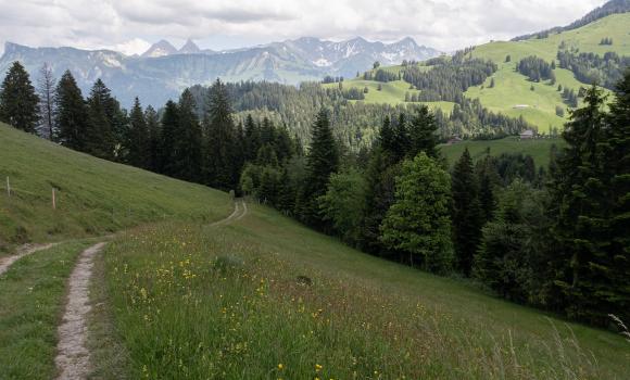 Sentiero alpino panoramico 