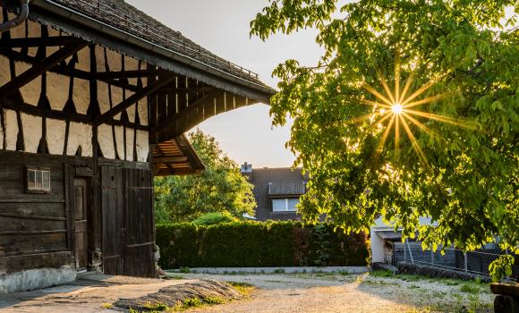 «Métairies» – Osterie di montagna nel Giura