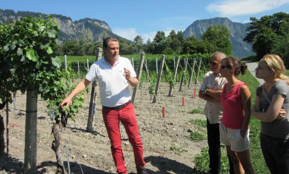 Tour enologico e degustazione in malga