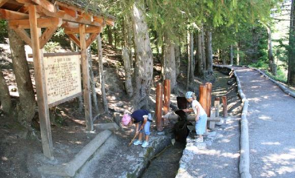 "Strada dei sensi": la natura a fior di pelle