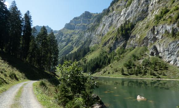 Sardona-Welterbe-Weg, Tappa 1/6