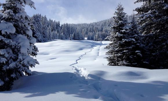 Itinerario guidato con le racchette da neve sulla montagna di Coira