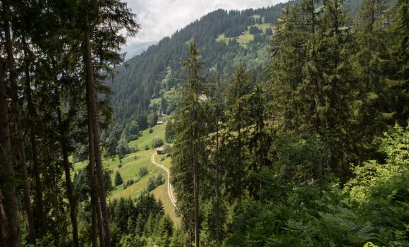 Jakobsweg Graubünden, Tappa 15/19