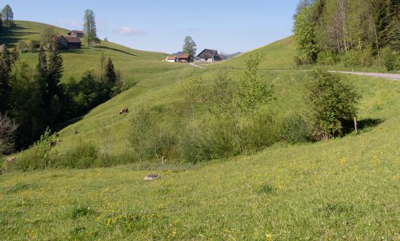 Obstgarten-Route, Tappa 2/2