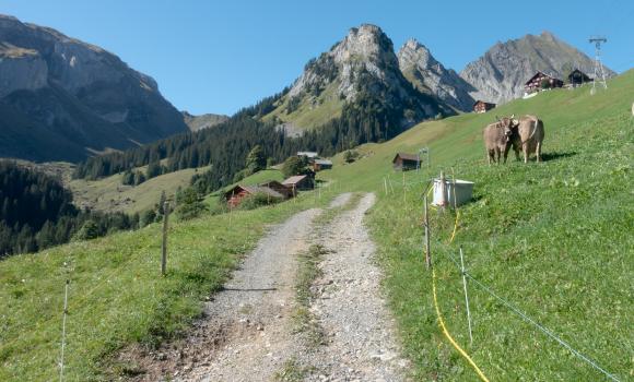 ViaUrschweiz, Tappa 1/2