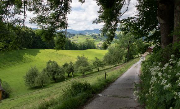 St. Galler Panoramaweg