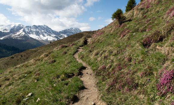 Schanfigger Höhenweg