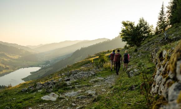 Chemin des préalpes fribourgeoises