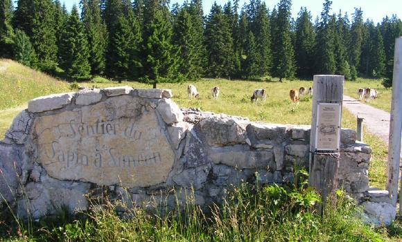 Sentiero didattico "Sapin à Siméon"