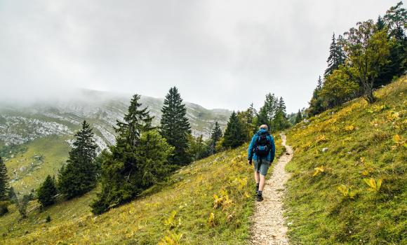 Sentiero in cresta del Giura