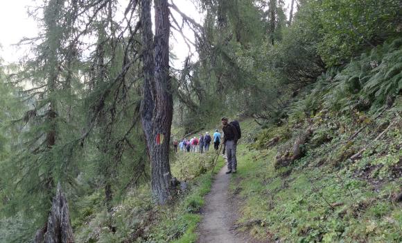 Osservare la fauna del Weisshorn