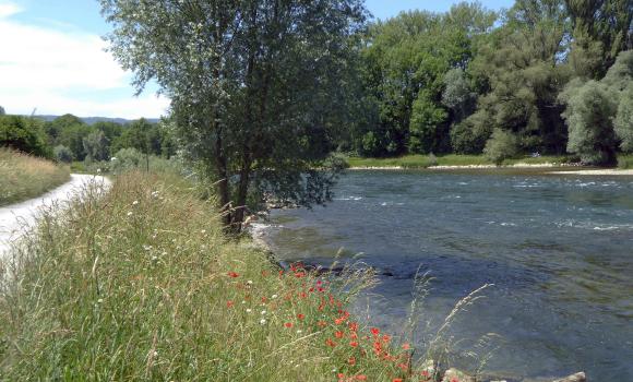 Goldküste–Limmat