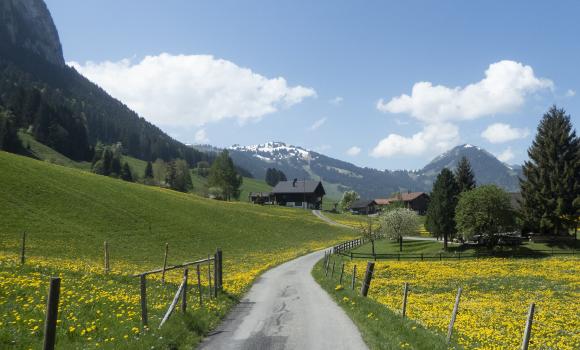 Percorso dei laghi