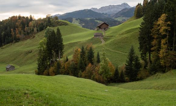 Kulturspur Appenzellerland, Tappa 1/6