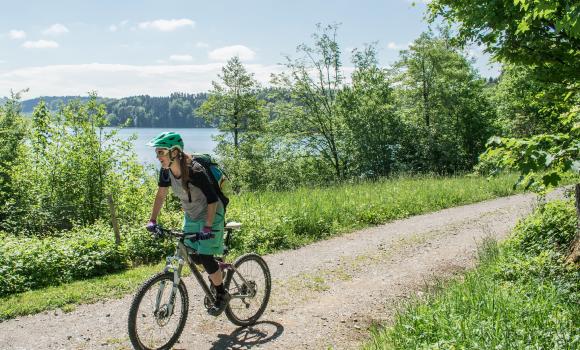 Zürich–Einsiedeln Bike