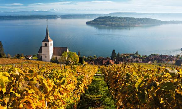 Sentiero didattico dei vigneti sul Lago di Bienne