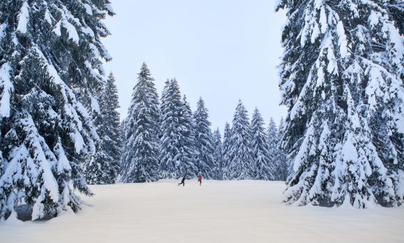 Sci di fondo nella magia delle Franches-Montagnes