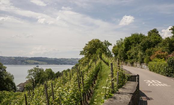 Goldküste–Limmat, Tappa 1/2