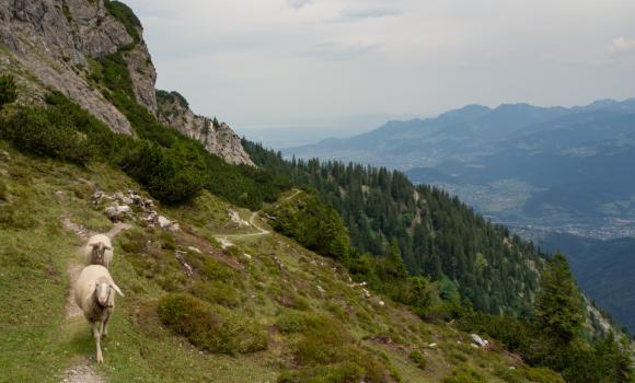 Liechtensteiner Panoramaweg, Tappa 2/3