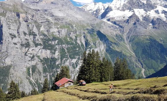 Volontariato in montagna