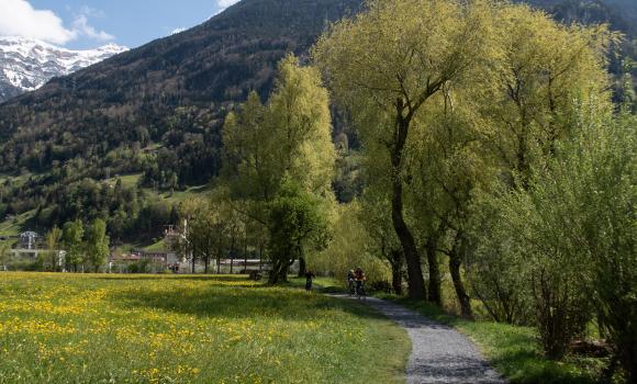 Urnersee-Uferweg