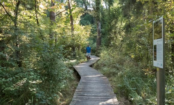 Chemin des Trois-Lacs, Tappa 2/3