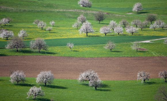 Swiss Tavolata – Wittnau nella Fricktal