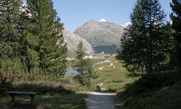 ViaValtellina, Tappa 5/8