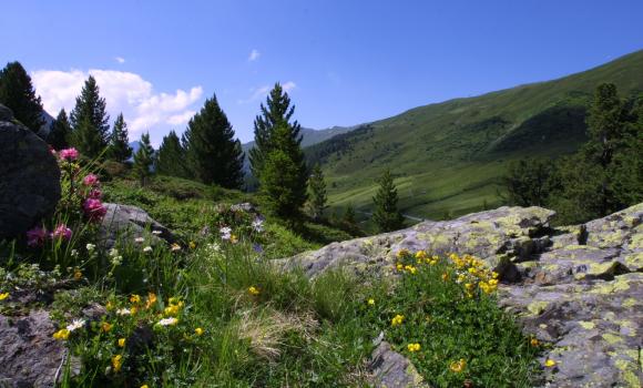 Flüela-Schwarzhorn-Weg