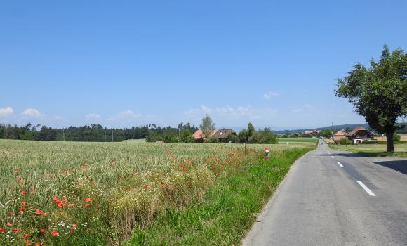 Route de l'ancien régime bernois