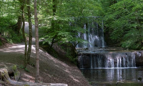 Erlenbach-Küsnacht Tobelweg