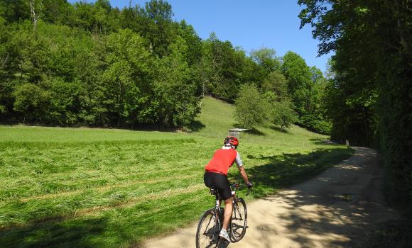 Dreiland-Radweg, Tappa 4/4