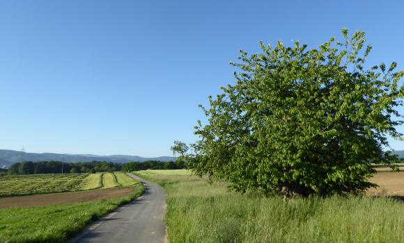 Jura Bike, Tappa 1/9