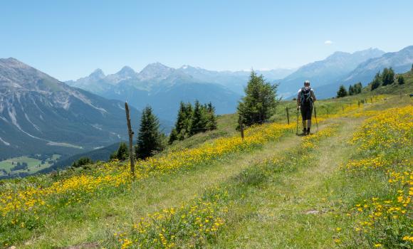 Heidbüel-Tgantieni-Höhenweg