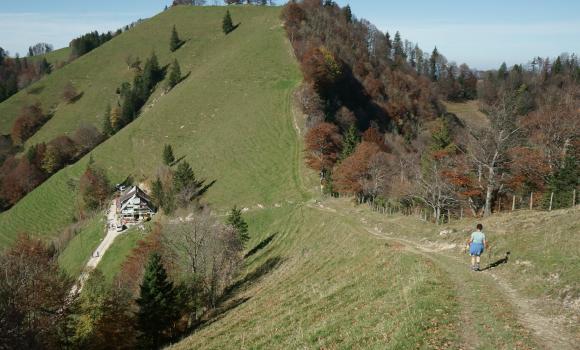 Toggenburger Höhenweg, Tappa 5/6