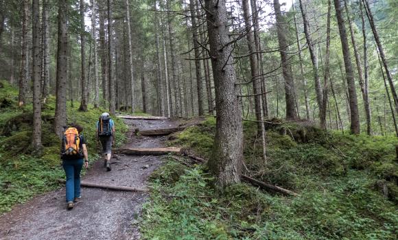 Lötschberg-Panoramaweg, Tappa 2/4