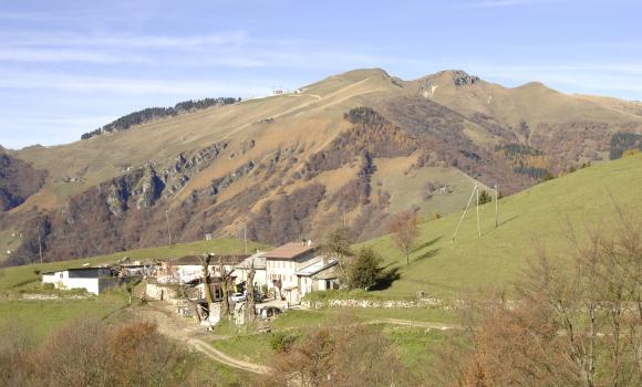 In mountain bike per i vigneti del Ticino