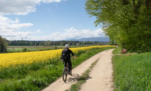 Bucheggberg-Route