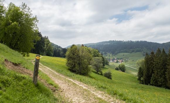 Chemin de Bellelay