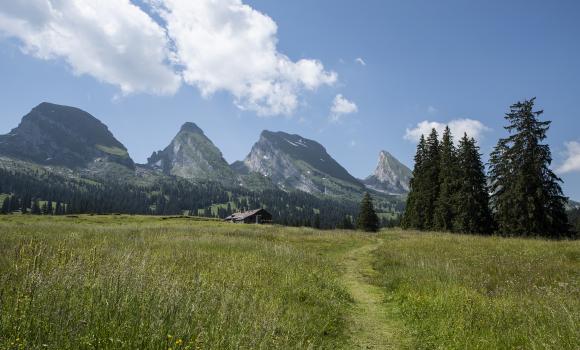 Toggenburger Höhenweg