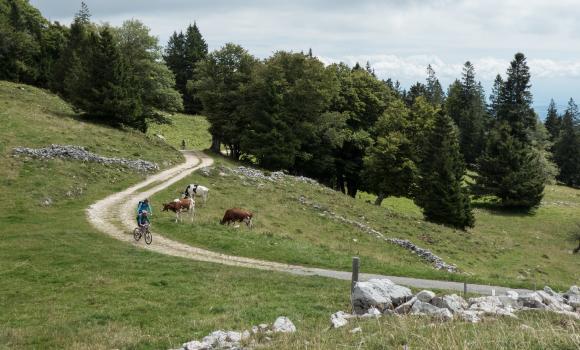 Jura Bike, Tappa 8/9